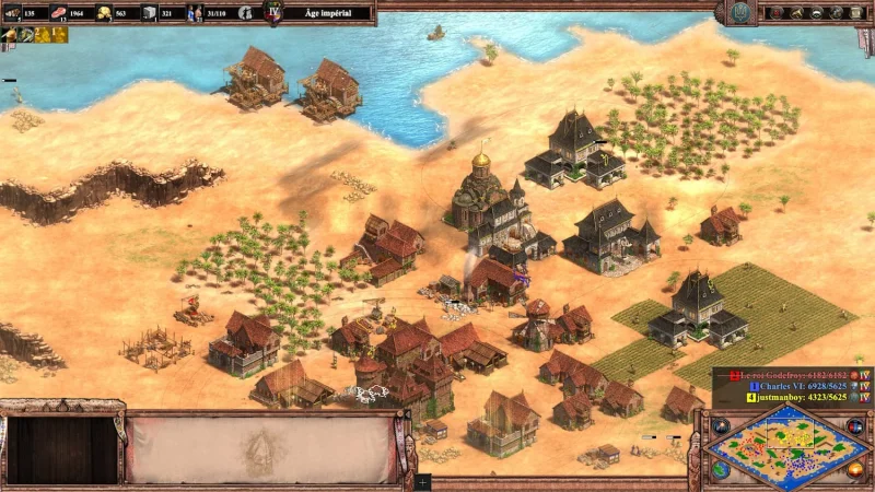 Age Of Empire 2 DF sur Linux
