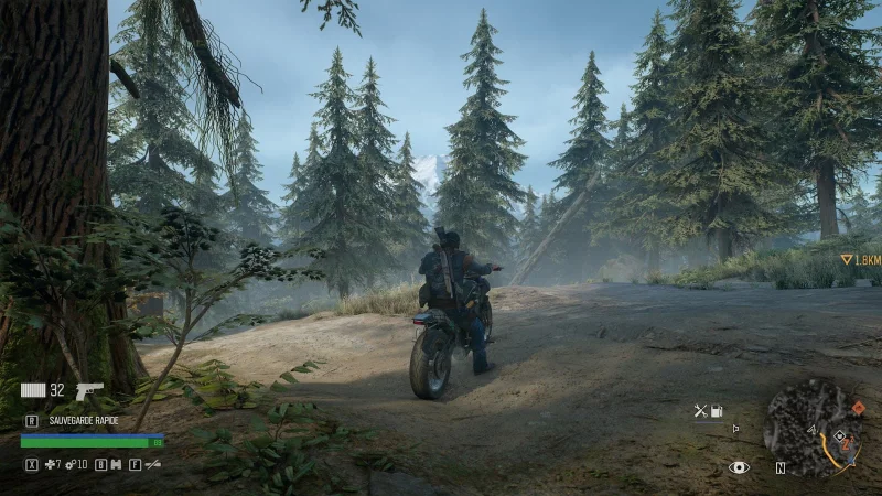 Days Gone sur Linux GLF OS