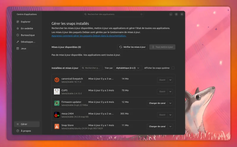 Nouveau App center pour Ubuntu 24.04