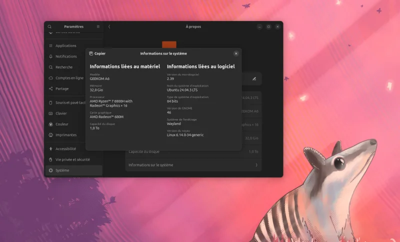 Informations sur le système via le panneau de contrôle de Ubuntu