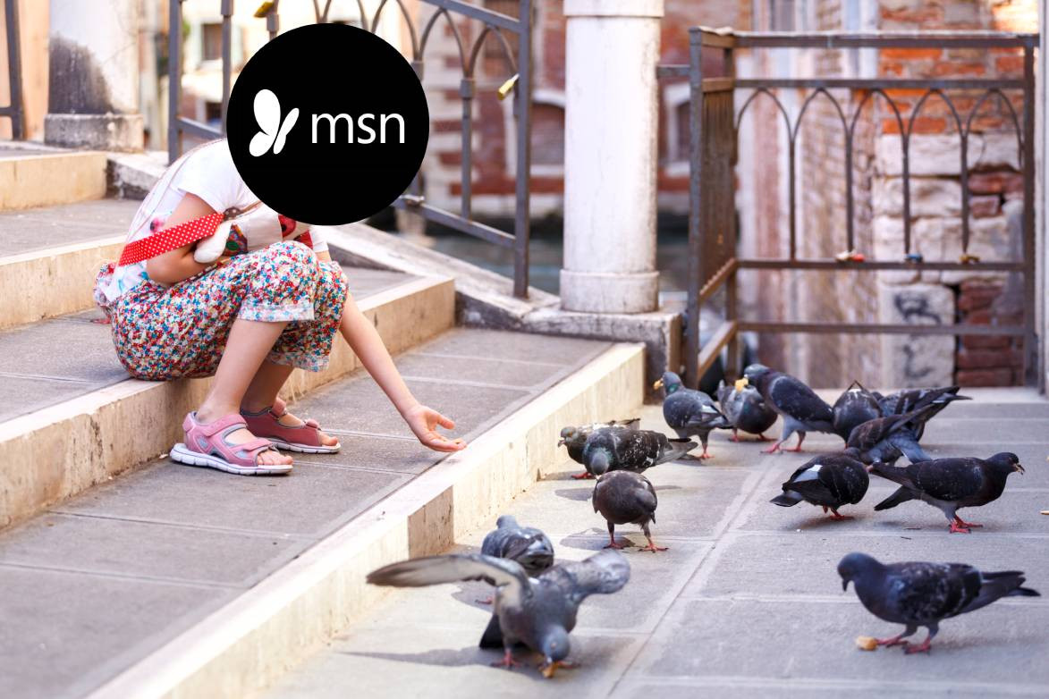 MSN diffuse des escroqueries via ses contenus sponsorisés