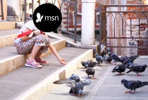 MSN diffuse des escroqueries via ses contenus sponsorisés