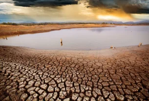 Le paradoxe de l'inaction : comment le refus des limites aujourd'hui multiplie les contraintes demain
