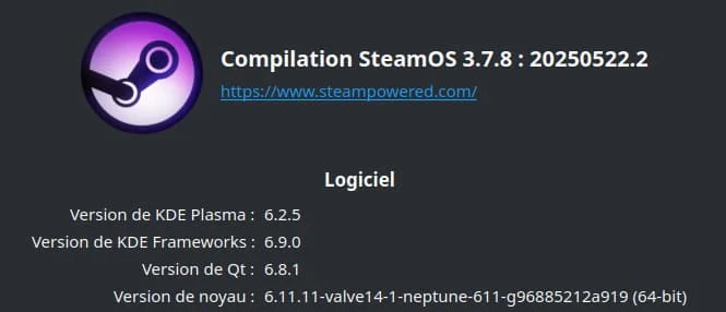 Noyau Linux 6.11