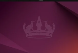 Ubuntu 24.04.2 avec Linux 6.11 arrive le 13 février.
