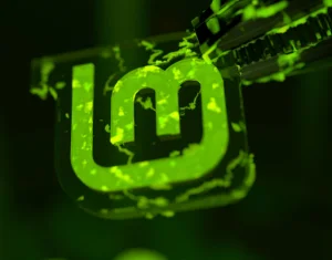 Cinnamon 6.2 devient stable avant la sortie de Linux Mint 22