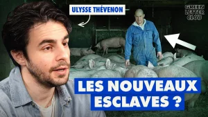Éleveurs : comment le système mange ses propres paysans