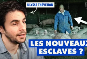 Éleveurs : comment le système mange ses propres paysans