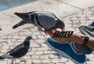 HOLY, la boisson qui ment à tout YouTube ?