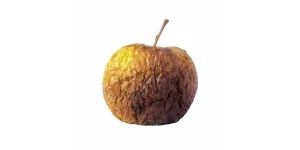 Les AirPods Pro 3 d'Apple sont toujours con&ccedil;us pour &ecirc;tre jetables...