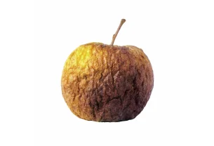 Les AirPods Pro 3 d'Apple sont toujours conçus pour être jetables...