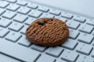Marre des banni&egrave;res de cookies ?