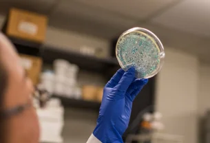 Microbiote, les fabuleux pouvoirs du ventre