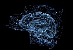 Notre cerveau a-t-il un bug ?