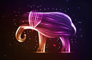 PHP 8.5 Alpha 1 débarque avec ses nouveautés