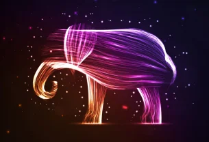PHP 8.5 Alpha 1 débarque avec ses nouveautés