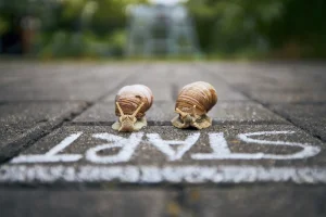 Pourquoi jouer trop vite gâche vos jeux