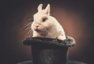 Rabbit R1, un gadget IA qui dépèce votre portefeuille !
