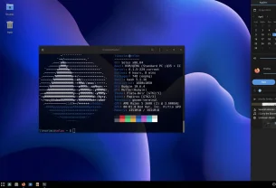 Test de la distribution Linux Solus
