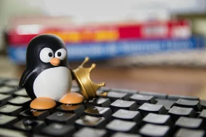 Testez des distributions Linux directement en ligne avec Distrosea