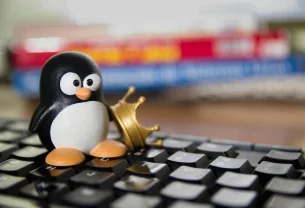 Testez des distributions Linux directement en ligne avec Distrosea