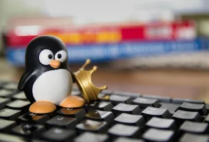 TOP 5 des distributions Linux pour tous en 2025 !