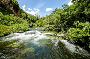 Un fleuve, une rivière, des droits : l'idée qui traverse les frontières