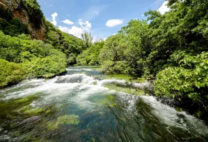 Un fleuve, une rivière, des droits : l'idée qui traverse les frontières